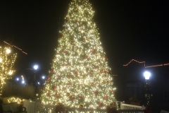 Christmas tree lighting ceremony - Downtown, West Bend